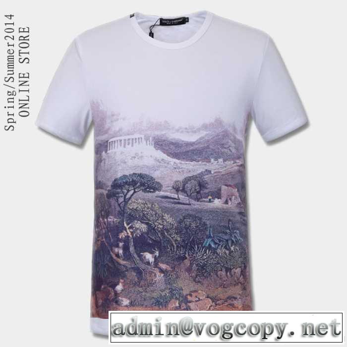 抜群の雰囲気が作れる!2014春夏新作 dolce&gabbana ドルチェ＆ガッバーナ 半袖tシャツ
