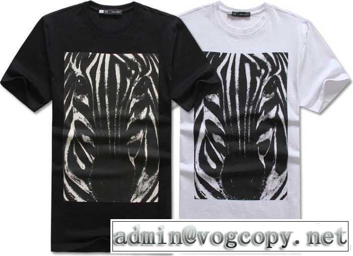 超レア 2014 dsquared2 ディースクエアード半袖tシャツ