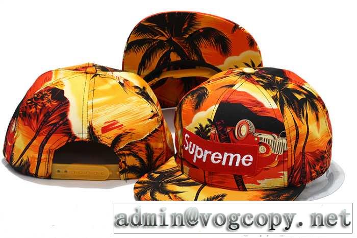 2015春夏 個性派 supreme シュプリーム 帽子