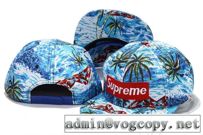 2015春夏 supreme シュプリーム 絶大な人気を誇る 帽子