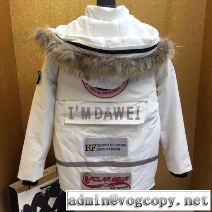 寒い季節トレンド上品 ダウンジャケット カナダグース 2019秋冬トレンドアイテム Canada Goose  2色可選