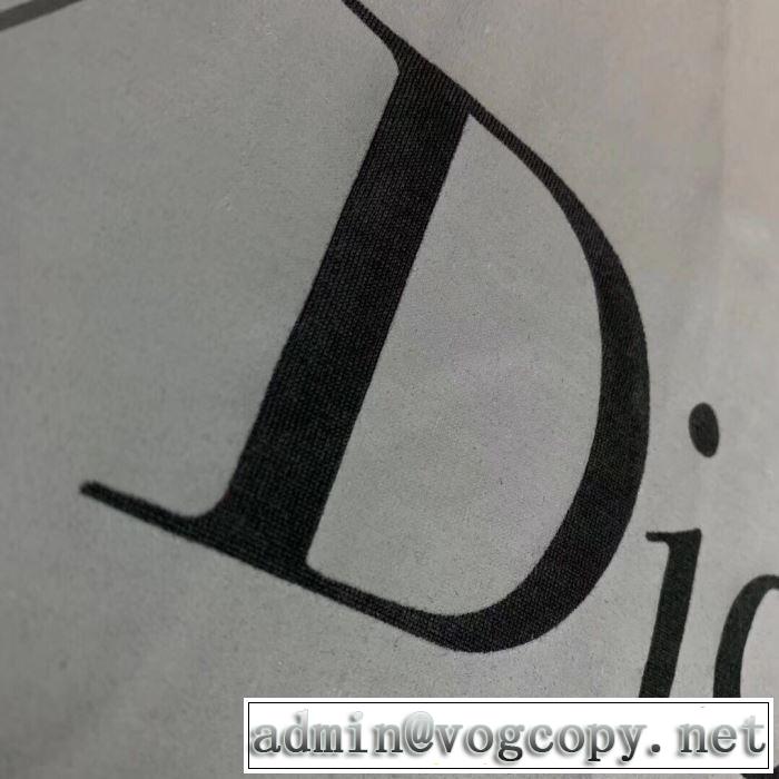 《2019年》今、注目のストリート ディオール 爽やかな色合い DIOR 2色可選 半袖Tシャツ 派手にはなりすぎず