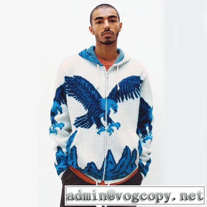 2019トレンドアイテム激安 パーカー 活躍するトレンドアイテムSUPREME Eagle Hooded Zip Up Sweater