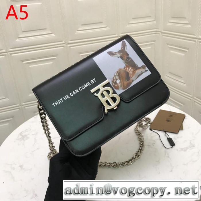 スタイルUPして着こなす バーバリー 2019年春夏のトレンドアイテムBURBERRY ちょっと大人の印象 多色選択可 レディースバッグ