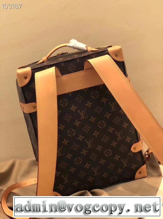 春夏のトレンドアイテム ルイ ヴィトン LOUIS VUITTON  上品な涼やかさある印象に レディースバッグ 大胆なデザイン