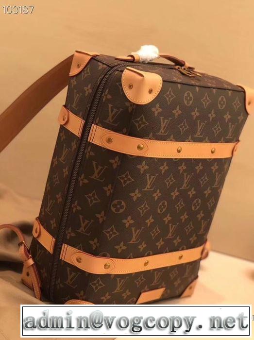 春夏のトレンドアイテム ルイ ヴィトン LOUIS VUITTON  上品な涼やかさある印象に レディースバッグ 大胆なデザイン