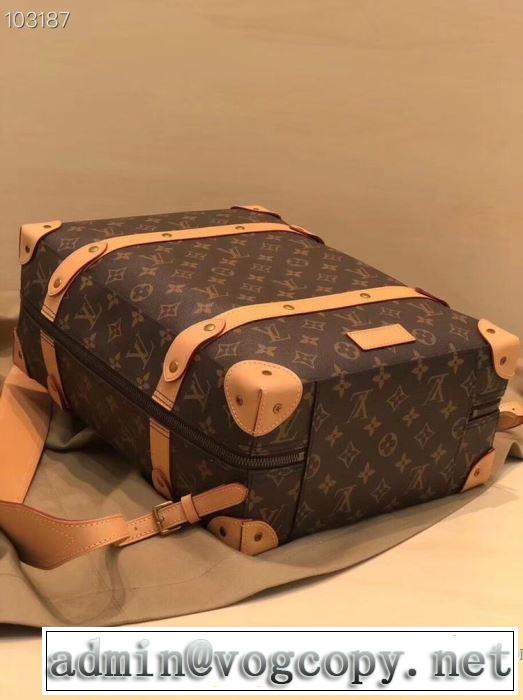 春夏のトレンドアイテム ルイ ヴィトン LOUIS VUITTON  上品な涼やかさある印象に レディースバッグ 大胆なデザイン