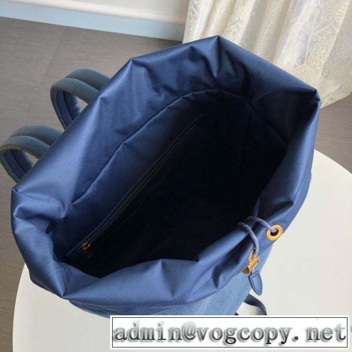 スタイルアップ上品 ルイ ヴィトン LOUIS VUITTON 2019年春夏のトレンドアイテム  レディースバッグ ちょっと大人の印象
