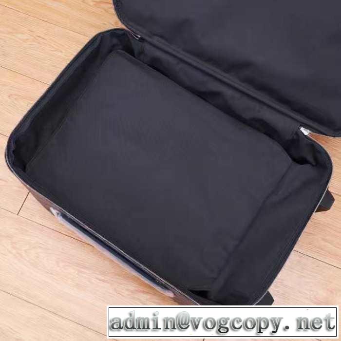 LOUIS VUITTON  スーツケース 新作限定めっちゃ綺麗色 ルイ ヴィトン 2019夏ファション新品