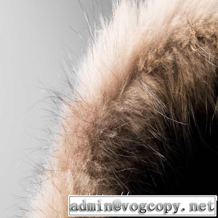 2019秋冬トレンド押さえておきたい カナダグース Canada Goose 人気ブランドの秋冬新色 メンズ ダウンジャケット おしゃれに秋を迎えるために