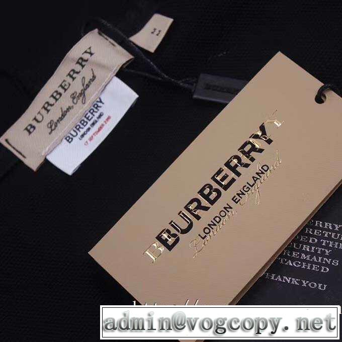とにかく完璧ブランド新作 2019秋冬人気色おすすめ バーバリー BURBERRY プルオーバーパーカー 2色可選