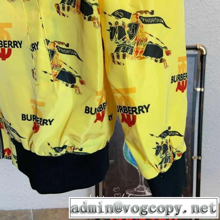 秋冬ファッションコーディネート 2019秋冬人気色おすすめ バーバリー BURBERRY ブルゾン