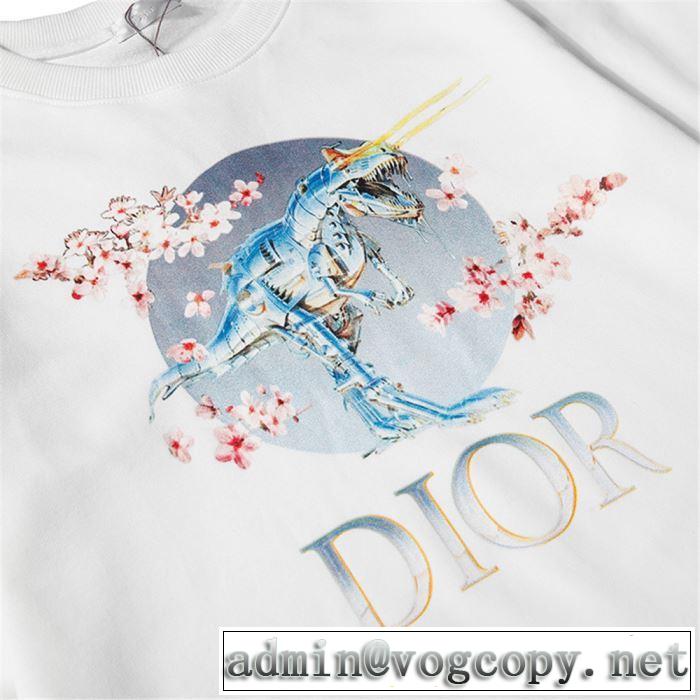 人気ブランドの秋冬新色 ディオール 着心地もなめらかで快適 DIOR 3色可選  プルオーバーパーカー 2019トレンドカラー秋冬セール
