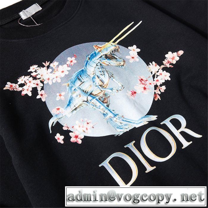 人気ブランドの秋冬新色 ディオール 着心地もなめらかで快適 DIOR 3色可選  プルオーバーパーカー 2019トレンドカラー秋冬セール