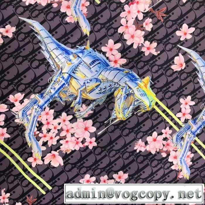 秋冬定番Dior &times; Sorayamaフーディ パーカーサイズ着こなしブランドジャケットディオールスーパーコピー通販品質保証