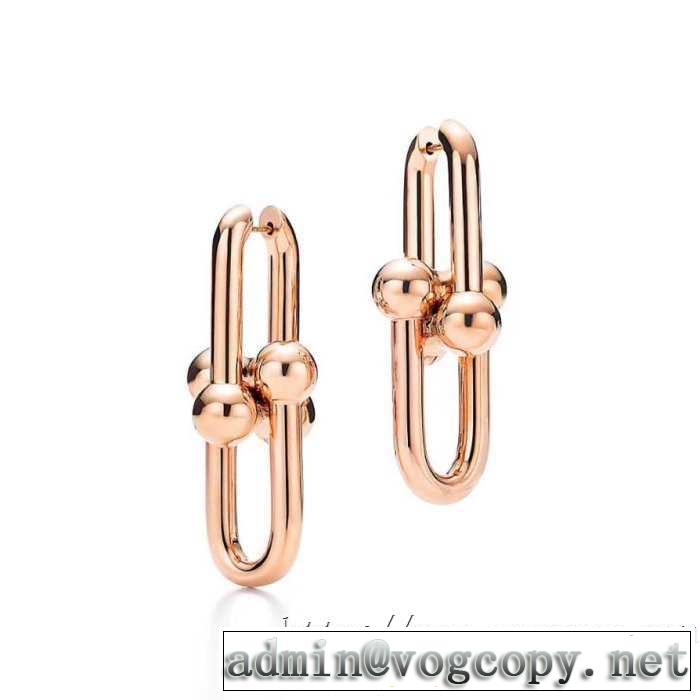 今なお素敵なアイテムだ ティファニー2020年春限定 Tiffany&Co ピアス 普段のファッション