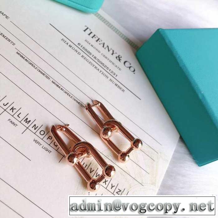 今なお素敵なアイテムだ ティファニー2020年春限定 Tiffany&Co ピアス 普段のファッション