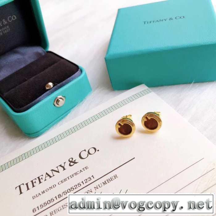 価格も嬉しいアイテム ティファニー 20新作です Tiffany&Co ピアス 一目惚れ級に