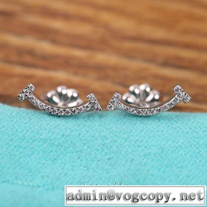 2色可選 2020モデル ティファニー普段見ないデザインばかり Tiffany&Co ピアス確定となる上品