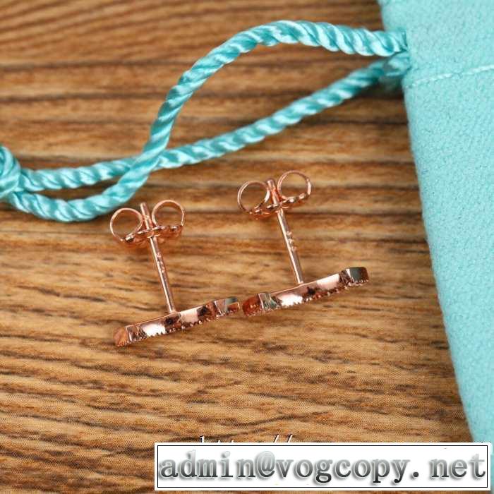 2色可選 2020モデル ティファニー普段見ないデザインばかり Tiffany&Co ピアス確定となる上品