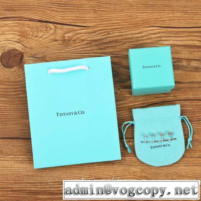 2色可選 2020モデル ティファニー普段見ないデザインばかり Tiffany&Co ピアス確定となる上品