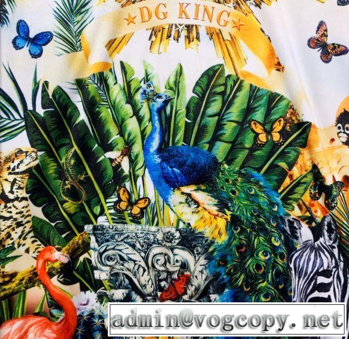 2019-2020秋冬のファッション プルオーバーパーカー Dolce&Gabbana ドルチェ＆ガッバーナ  即発送秋冬最新作