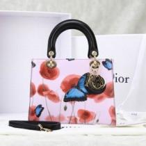 2026春夏 DIOR ディオール ～希少 手持ち&ショルダー掛け 6889