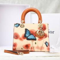 2026春夏 DIOR ディオール 首胸ロゴ 手持ち&ショルダー掛け 6...