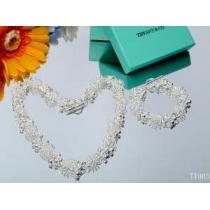 2026春夏新作コピーブランドTiffany & Co ティファニー上品なネックレス、ブレスレット2点セット