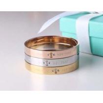 秋冬 2026 贈り物にも◎ Tiffany & Co ティファニー バ...