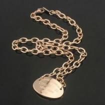 秋冬 2026 高級感溢れるデザイン Tiffany & Co ティファ...