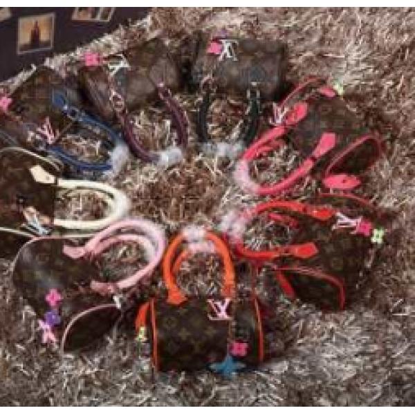 人気商売　完売品！ 2026春夏 LOUIS VUITTON ルイ ヴィトン ハンドバッグ 8色可選