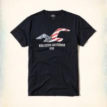 2色可選 2026人気の主流アイテム アバクロンビー&フィッチ Abercrombie & Fitch 半袖Tシャツ 希少性の高い