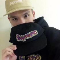 人目を引く存在感 2026年秋冬入荷 シュプリーム SUPREME パーカー 2...
