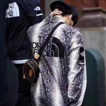 超激安価格 人気デザインで欲しい Supreme X TNF  ブルゾン 秋冬トレンド