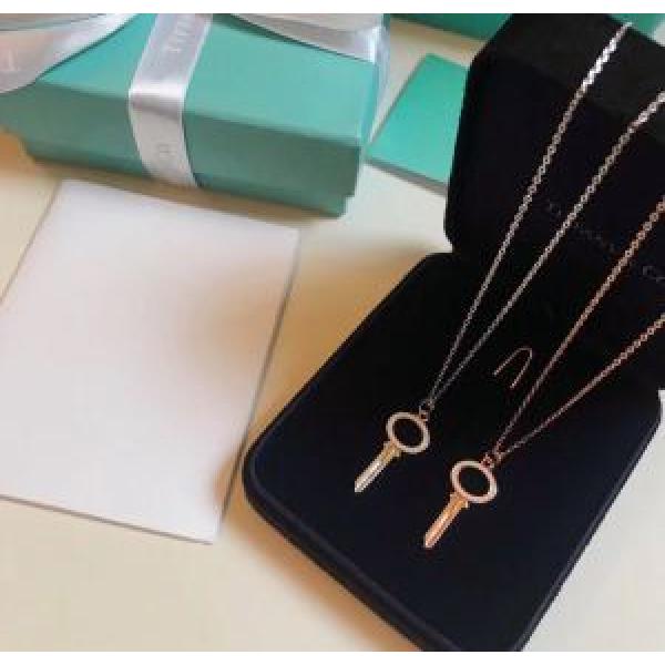 2026年秋冬シーズン ネックレス ティファニー芸能人愛用 Tiffany&Co 2色可選
