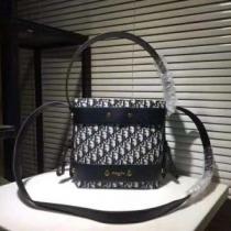 2色可選  最終数量限り！ ディオール今季爆発的な人気  DIOR ショルダーバッグ 注目美品