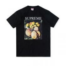 Supreme Still life T 2026年秋冬シーズン 上品でファッシ...
