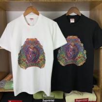 SUPREME 半袖Tシャツ 2色可選 2026夏ファション新品 さわやか夏スタ...