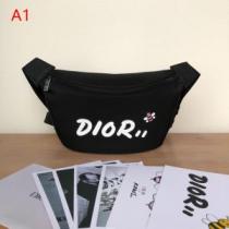 2026年春夏のトレンドアイテム 高級感が好評です ディオール DIOR ショル...
