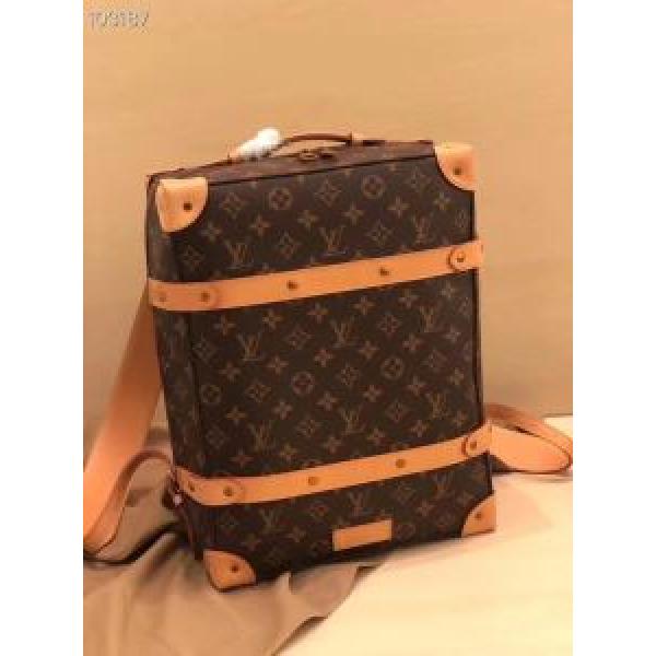春夏のトレンドアイテム ルイ ヴィトン LOUIS VUITTON  上品な涼やかさある印象に レディースバッグ 大胆なデザイン