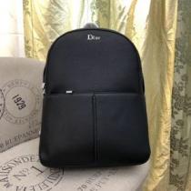リュック 海外限定ライン ディオール使いやすい新品  DIOR 世界共通のアイテム