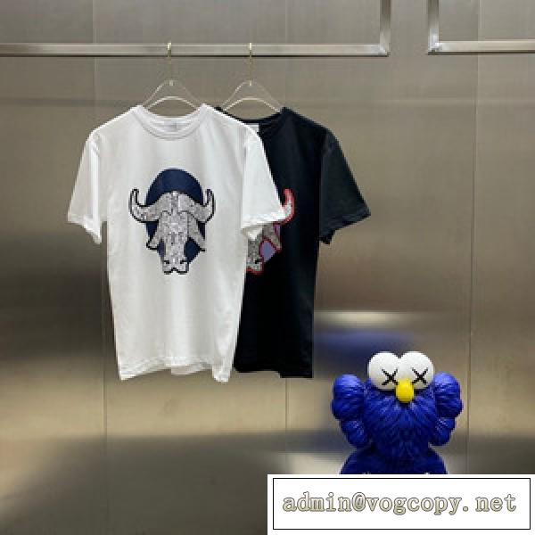 目を惹くスタイリッシュな半袖 Dior ディオール Tシャツ 偽物 柔らかい生地の個性的なTシャツ