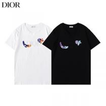 Dior刺繍モデル ディオール メンズ Tシャツ コピー 様々なボトムスに合わせ...