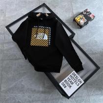 2026年超人気の高品質 ノースフェイススーパーコピー パーカー お洒落なTHE NORTH FACE