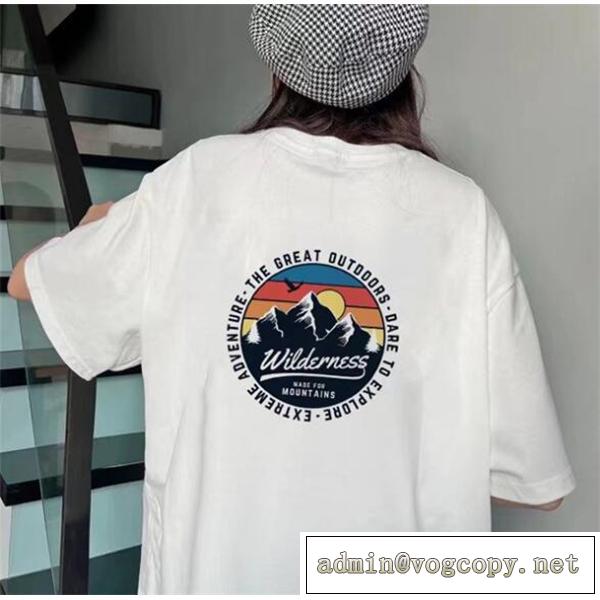 THE NORTH FACE 偽物 Ｔシャツ ザノースフェイス 印章ロゴ プリント柄 山脈＆太陽 快適な着心地♪ 夏向けの商品