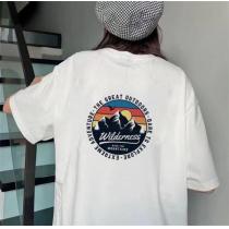 THE NORTH FACE 偽物 Ｔシャツ ザノースフェイス 印章ロゴ プリント柄 山脈＆太陽 快適な着心地♪ 夏向けの商品