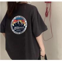 THE NORTH FACE 偽物 Ｔシャツ ザノースフェイス 印章ロゴ プリント柄 山脈＆太陽 快適な着心地♪ 夏向けの商品