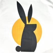 23兎年限定シリーズ FENDI スーパーコピー Ｔシャツ うさぎロゴプリント フェンディ 定番の色 大活躍