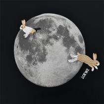 2026人気新品 ロエベ 偽物 Tシャツ 月とウサギ 幻想的 デザイン LOEWE